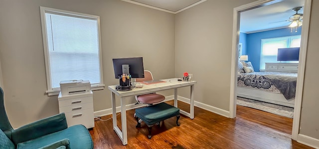 office space with crown molding, dark hardwood / wood-style floors, and ceiling fan