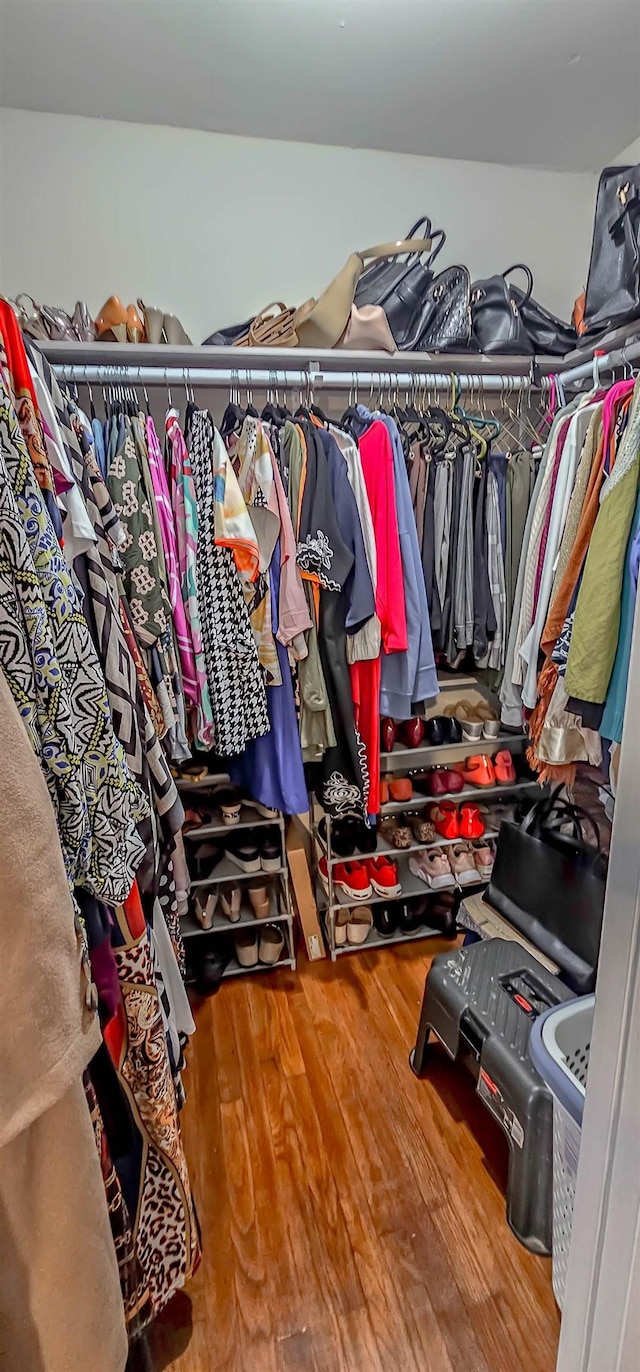 spacious closet with wood-type flooring