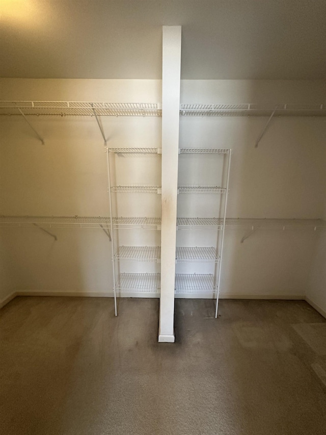 spacious closet featuring carpet flooring