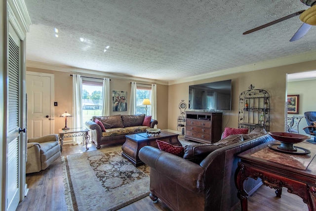 living room with crown molding, wood-type flooring, and a textured ceiling