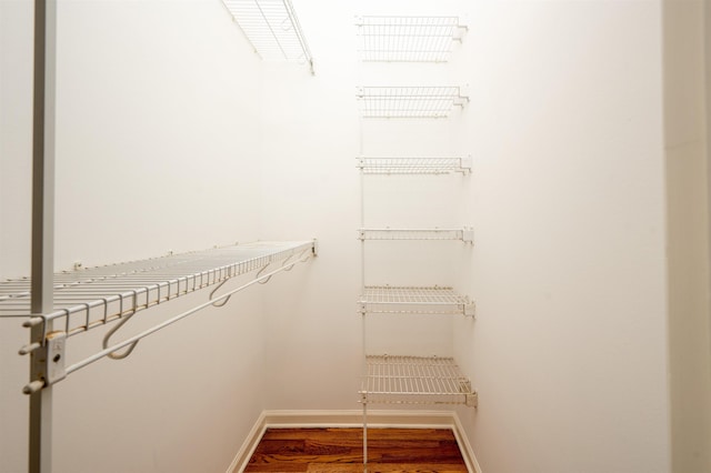 spacious closet with wood-type flooring