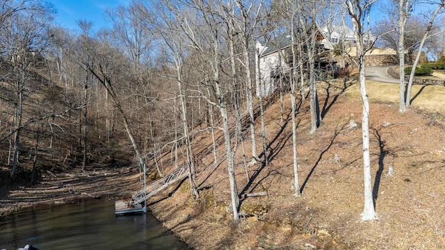 view of local wilderness