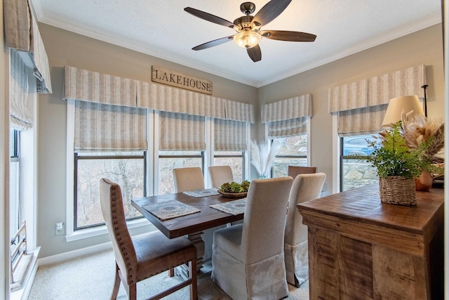 carpeted dining area featuring ceiling fan, ornamental molding, and a textured ceiling