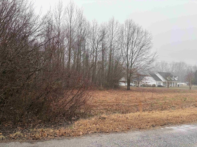 Listing photo 3 for 0 Bondurant Rd, Ripley TN 38063