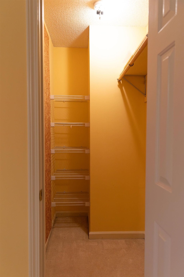 walk in closet featuring carpet flooring