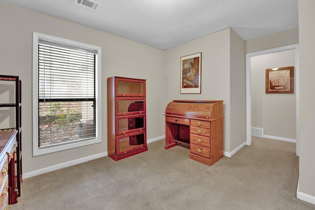 carpeted office with a textured ceiling