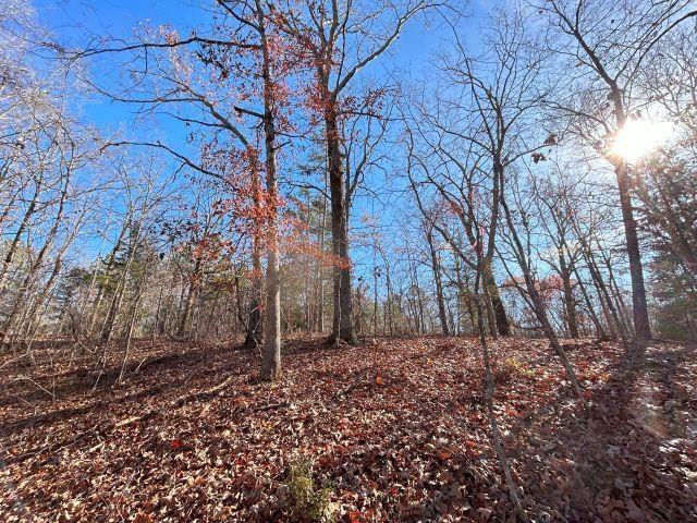 55 Lakewood Dr, Unicorp/Saulsbury, TN 38067