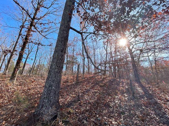 55 Lakewood Dr, Unicorp/Saulsbury, TN 38067