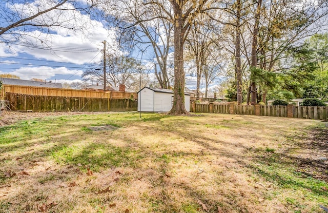 view of yard with a storage unit