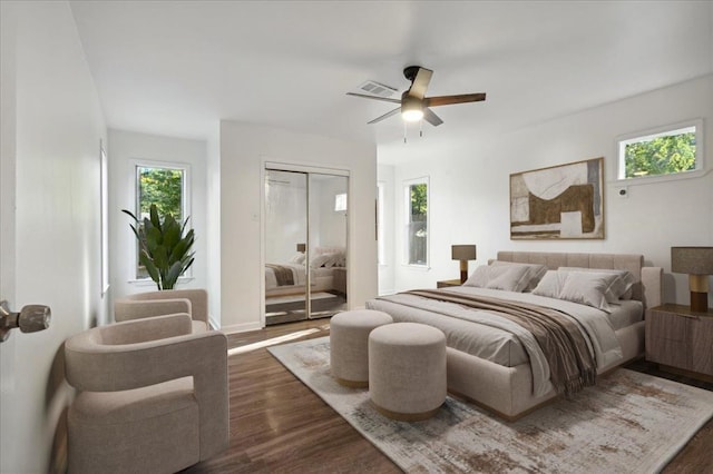 bedroom featuring multiple windows, dark hardwood / wood-style floors, ceiling fan, and a closet