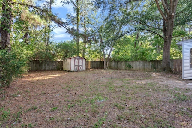 view of yard with a storage shed