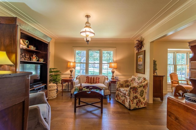 living room featuring crown molding and dark wood-type flooring