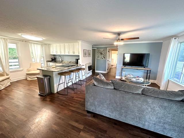 living room featuring ornamental molding, plenty of natural light, sink, and dark hardwood / wood-style flooring