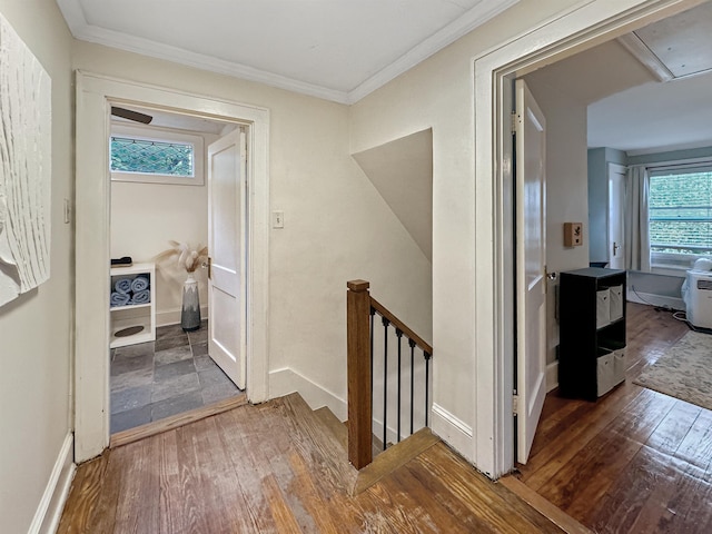 hallway featuring hardwood / wood-style flooring and ornamental molding