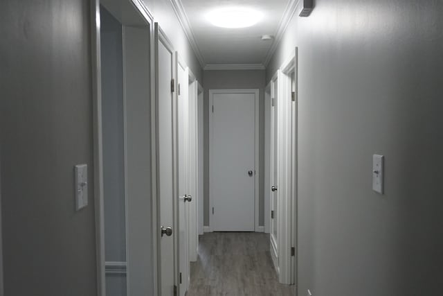 hallway featuring crown molding and light hardwood / wood-style flooring