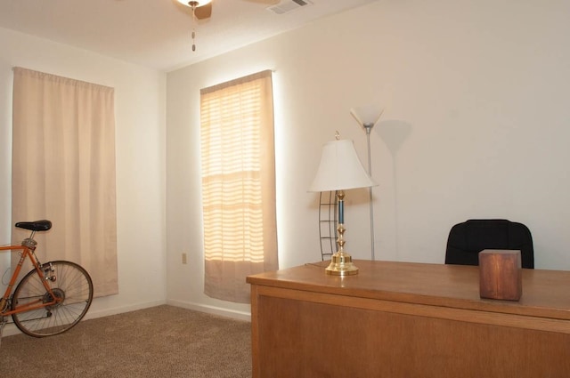 unfurnished office featuring carpet floors