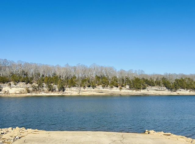 property view of water