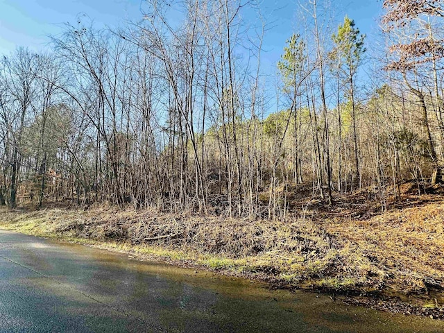 275 W O Baker Rd, Sugar Tree TN, 38380 land for sale