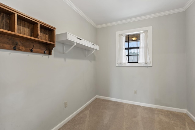 walk in closet with carpet