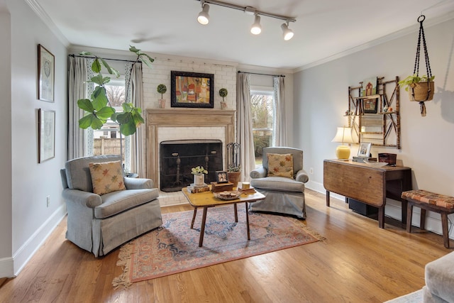 sitting room featuring crown molding, hardwood / wood-style flooring, a fireplace, and rail lighting