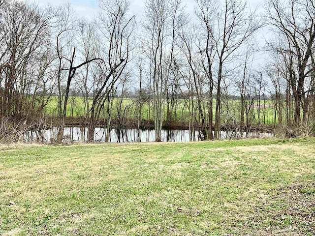 view of yard featuring a water view