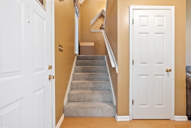 staircase featuring wood-type flooring