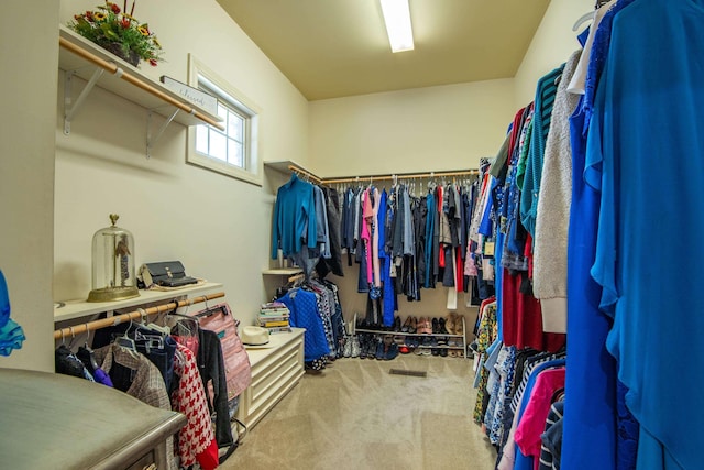 walk in closet featuring carpet flooring