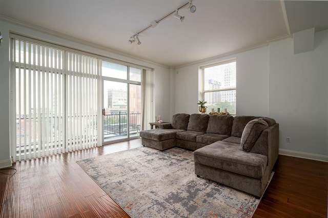 living room with crown molding, plenty of natural light, rail lighting, and wood-type flooring