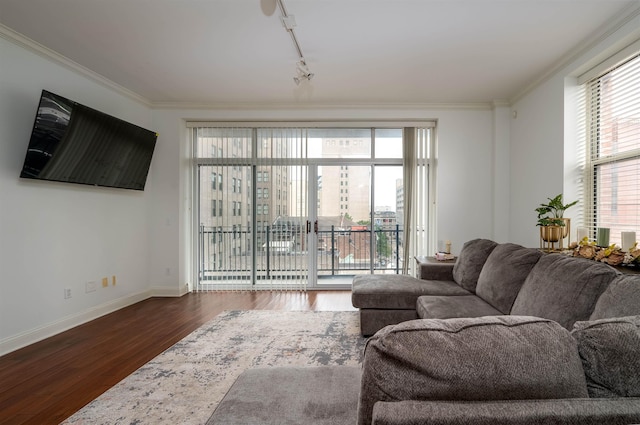 living room featuring ornamental molding, rail lighting, and dark wood-type flooring