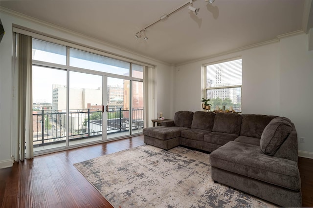 living room featuring hardwood / wood-style flooring, ornamental molding, and rail lighting