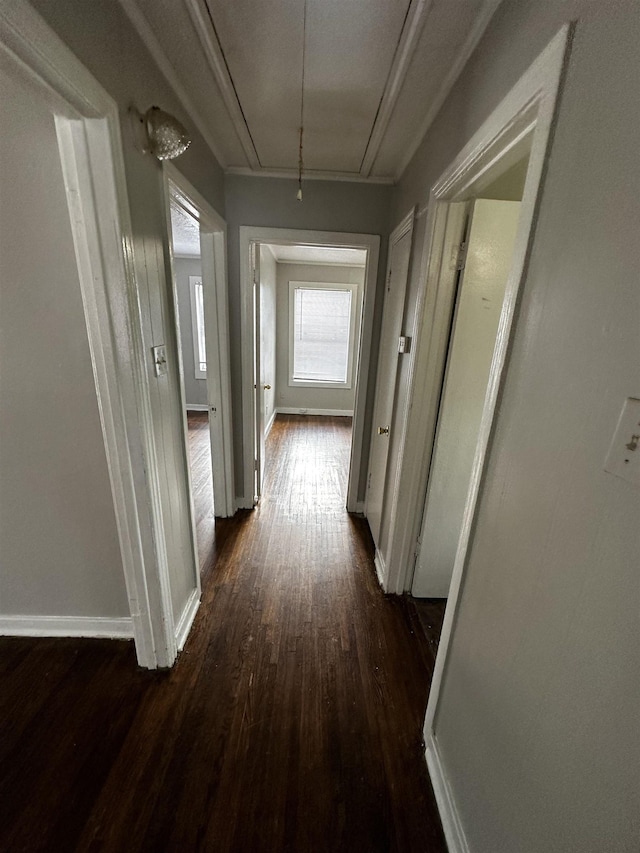 hall with dark hardwood / wood-style floors