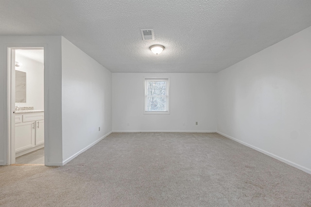 bonus room with light carpet and a textured ceiling