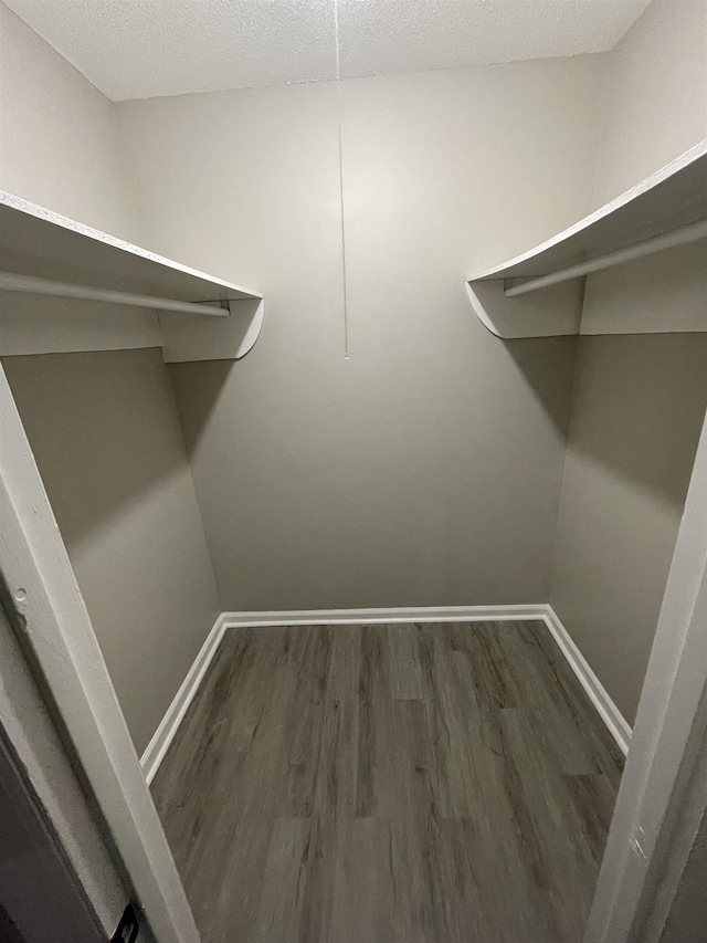 walk in closet with dark hardwood / wood-style floors