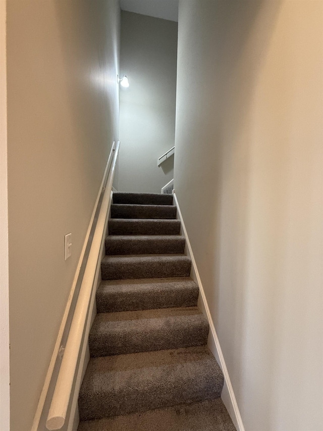 stairway featuring carpet