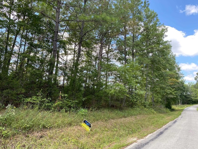 Listing photo 2 for TRACT4 Cash School Rd, Enville TN 38332