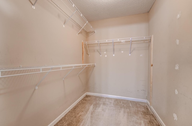 spacious closet featuring carpet floors