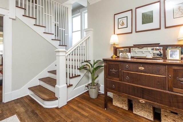 staircase with hardwood / wood-style floors