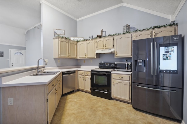 kitchen with sink, crown molding, appliances with stainless steel finishes, vaulted ceiling, and kitchen peninsula