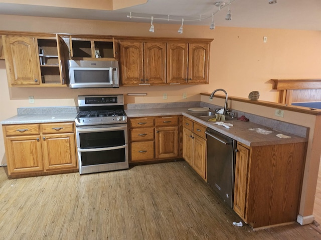 kitchen with sink, wood-type flooring, and appliances with stainless steel finishes