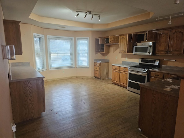 kitchen featuring hardwood / wood-style floors, track lighting, stainless steel appliances, and a raised ceiling