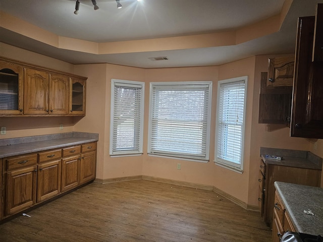 kitchen featuring a raised ceiling and wood-type flooring