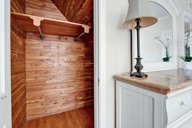 spacious closet featuring wood-type flooring