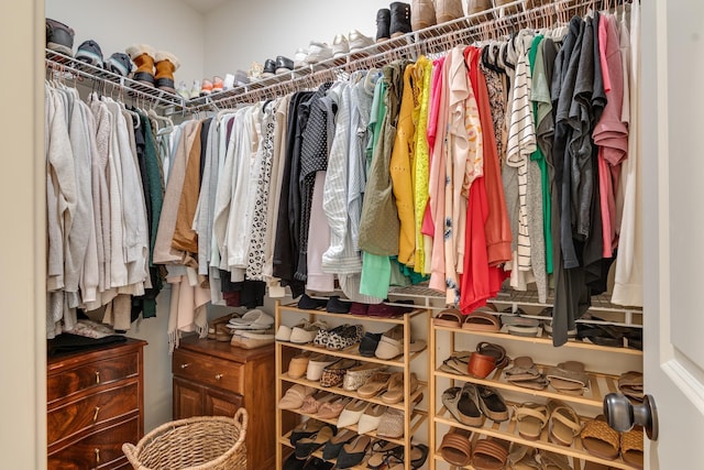 view of spacious closet