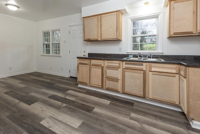 kitchen with dark hardwood / wood-style floors, sink, and light brown cabinets