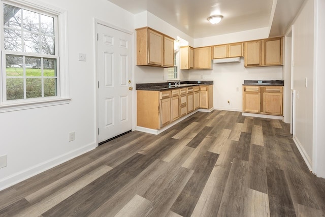 kitchen featuring sink, light brown cabinets, and dark hardwood / wood-style flooring