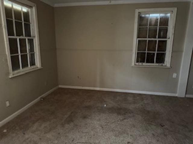 carpeted spare room with ornamental molding