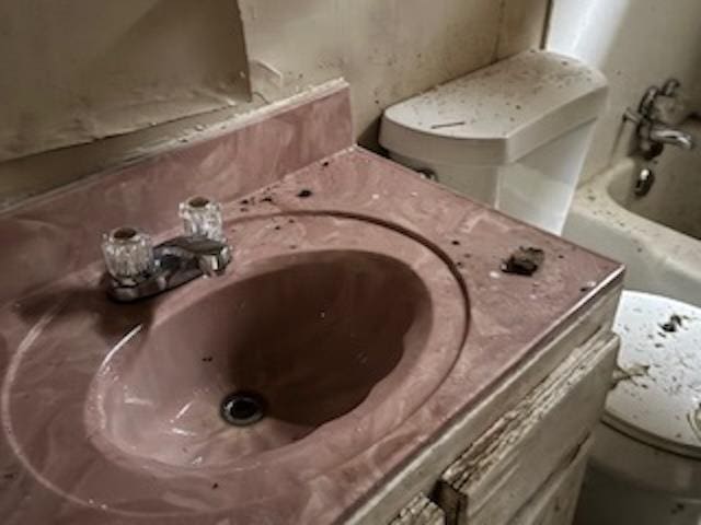 bathroom featuring vanity, toilet, and a tub to relax in