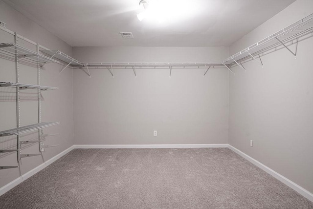 walk in closet featuring carpet floors