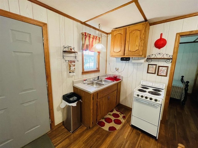 kitchen with sink, crown molding, electric range, dark hardwood / wood-style flooring, and decorative light fixtures