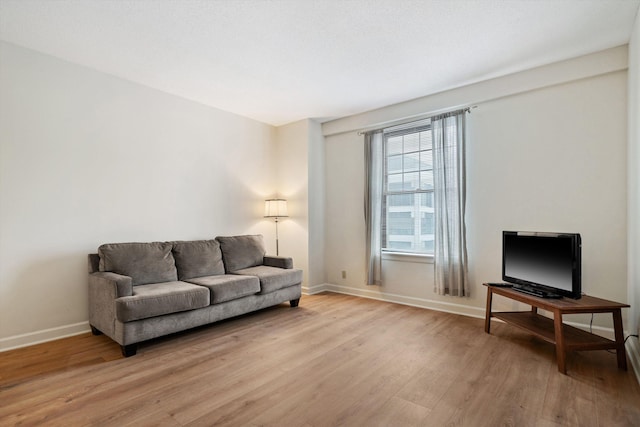 living room with light wood-type flooring